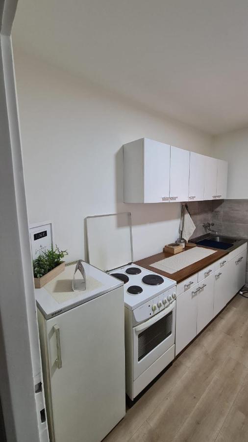 Apartman Pavlovic Leskovac  Eksteriør bilde