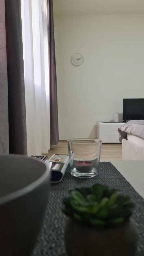 Apartman Pavlovic Leskovac  Eksteriør bilde